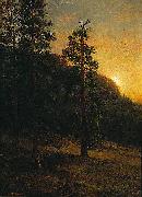 Albert Bierstadt California Redwoods Germany oil painting artist